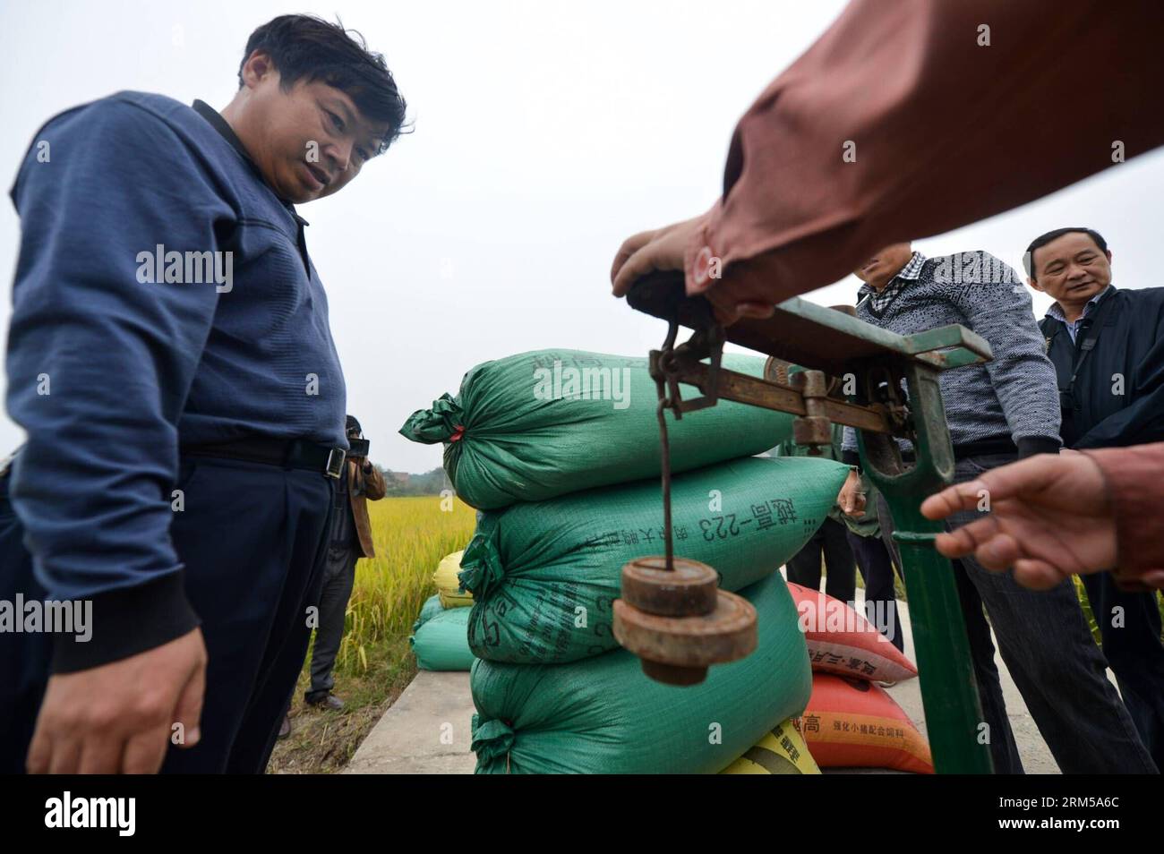Weigh Rice 582 kg hi-res stock photography and images - Alamy