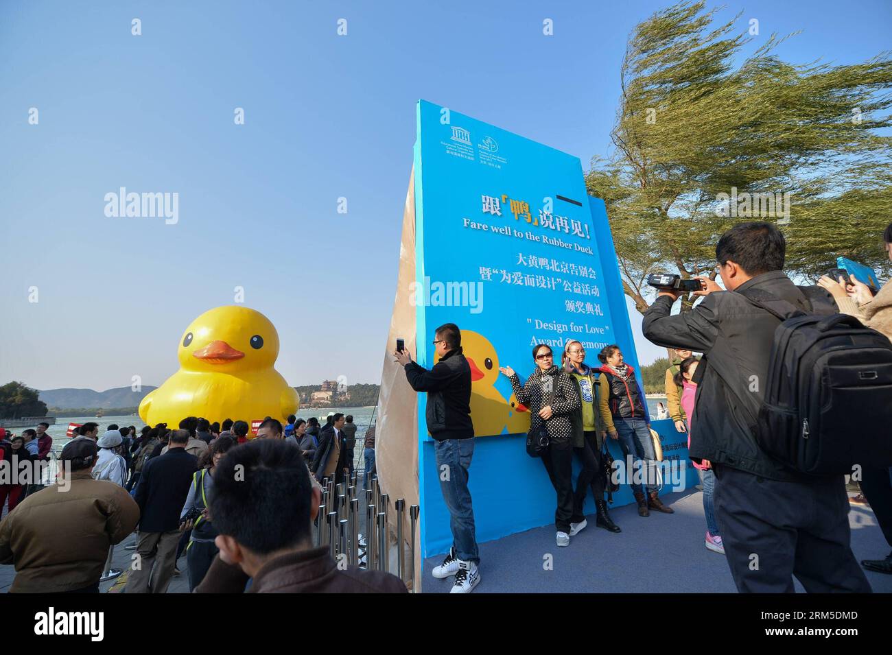 Bildnummer: 60633054  Datum: 24.10.2013  Copyright: imago/Xinhua (131024) -- BEIJING, Oct. 24, 2013 (Xinhua) -- Tourists pose for pictures in front of a poster for the farewell ceremony of the giant yellow rubber duck, brainchild of Dutch artist Florentijn Hofman, at the Summer Palace in Beijing, capital of China, Oct. 24, 2013. As the giant yellow rubber duck will end its tour at the Summer Palace on Oct. 27, 2013, a farewell ceremony is held here Thursday. (Xinhua/Li Xin) (wjq) CHINA-BEIJING-RUBBER DUCK-FAREWELL CEREMONY (CN) PUBLICATIONxNOTxINxCHN Entertainment Gummiente xas x0x 2013 quer Stock Photo