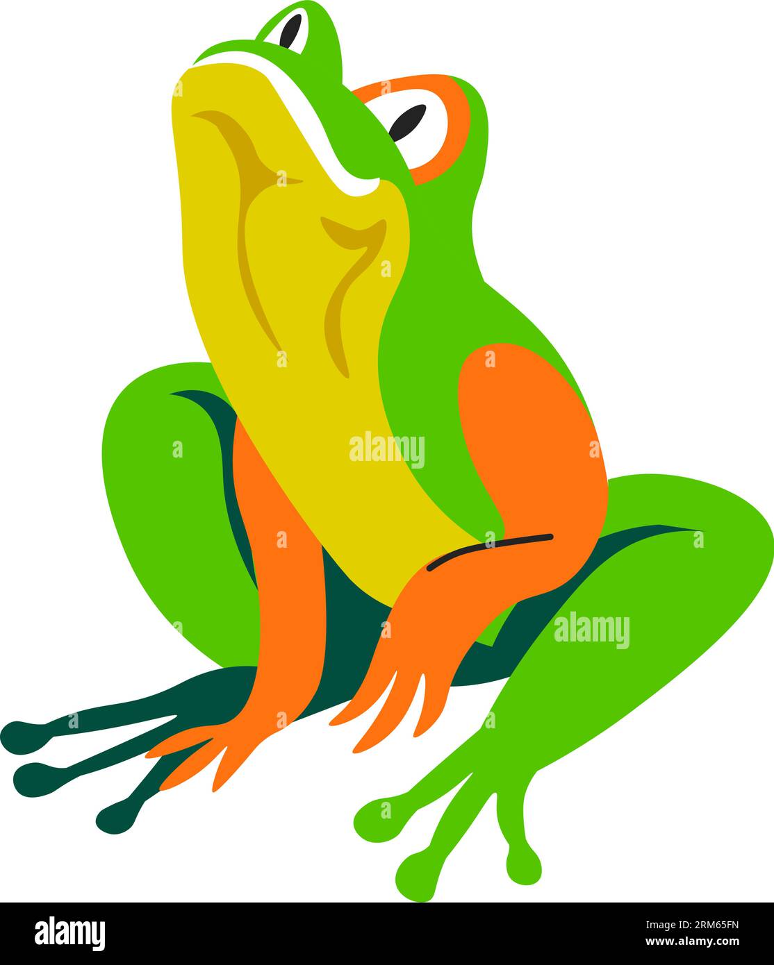 Tropical frog, exotic wildlife reptile animals Stock Vector Image & Art ...