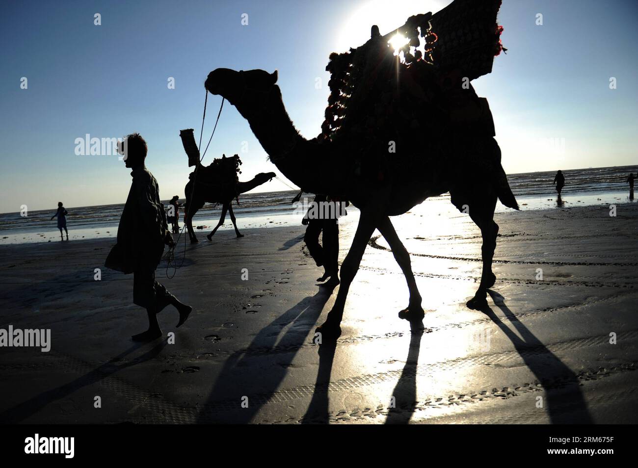 Bildnummer: 60831512  Datum: 14.12.2013  Copyright: imago/Xinhua     Owners of camels wait for customers on a beach during sunset in Karachi, Pakistan, on Dec. 14, 2013. (Xinhua/Huang Zongzhi) PAKISTAN-KARACHI-SUNSET PUBLICATIONxNOTxINxCHN xcb x0x 2013 quer Stock Photo