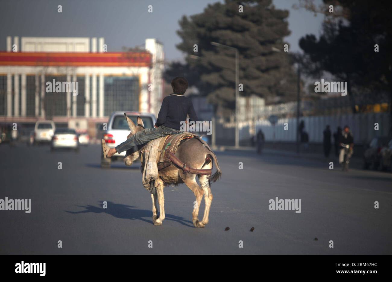 Bildnummer: 60834285  Datum: 16.12.2013  Copyright: imago/Xinhua     (131216) -- KABUL, Dec. 16, 2013 (Xinhua) -- An Afghan boy rides his donkey along a road in Kabul, Afghanistan, on Dec 16, 2013. (Xinhua/Ahmad Massoud) AFGHANISTAN-KABUL-DAILY LIFE PUBLICATIONxNOTxINxCHN xcb x0x 2013 quer Stock Photo