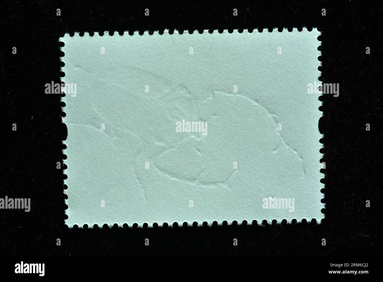 CHINA - CIRCA 2023: A stamps printed in China shows 2023-15 insect cheirotonus jansoni Embossing and Foil Stamping Techniques,  circa 2023. Stock Photo