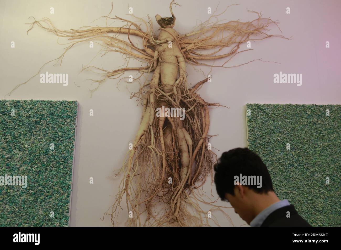 Xu zhen hi-res stock photography and images - Alamy