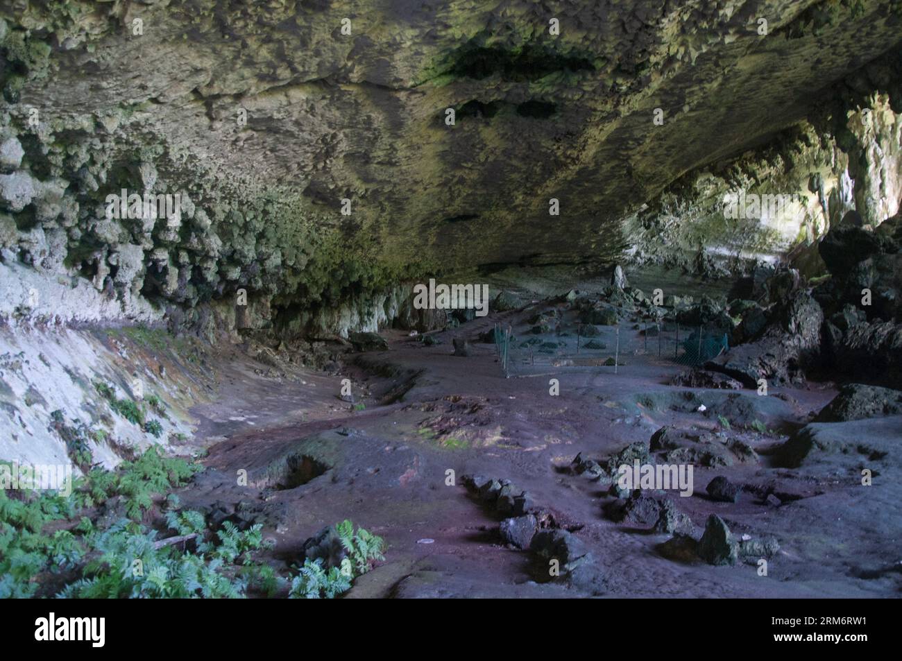Ancient human remains have been found within the Niah Caves, which now form a national park and World Heritage Site in Sarawak, Malaysian Borneo Stock Photo