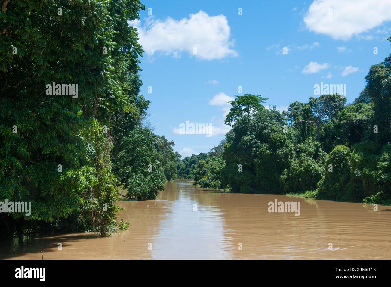 River beside the national park headquarters, Niah Caves, Sarawak, Malaysia Stock Photo