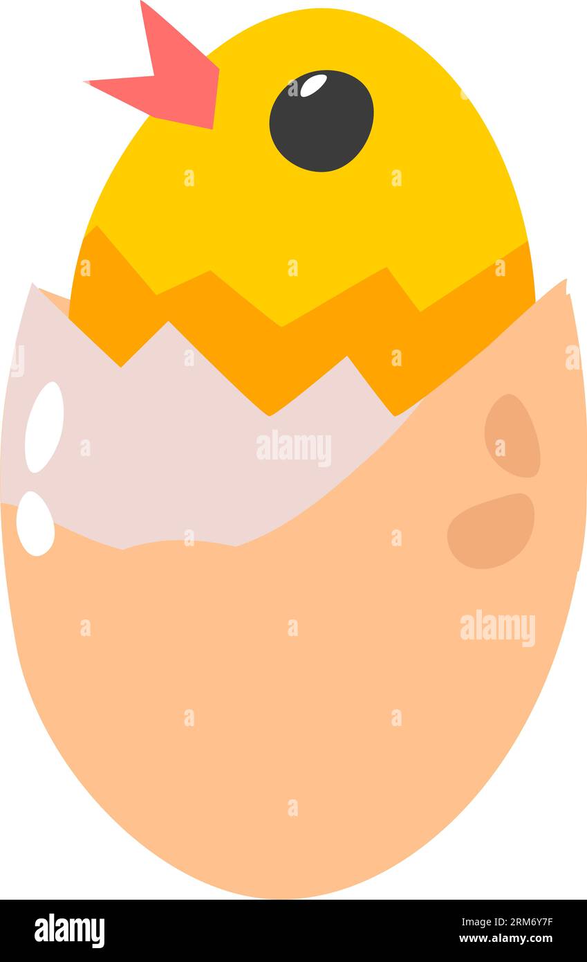 Chicken in eggshell, small chick newborn animal Stock Vector