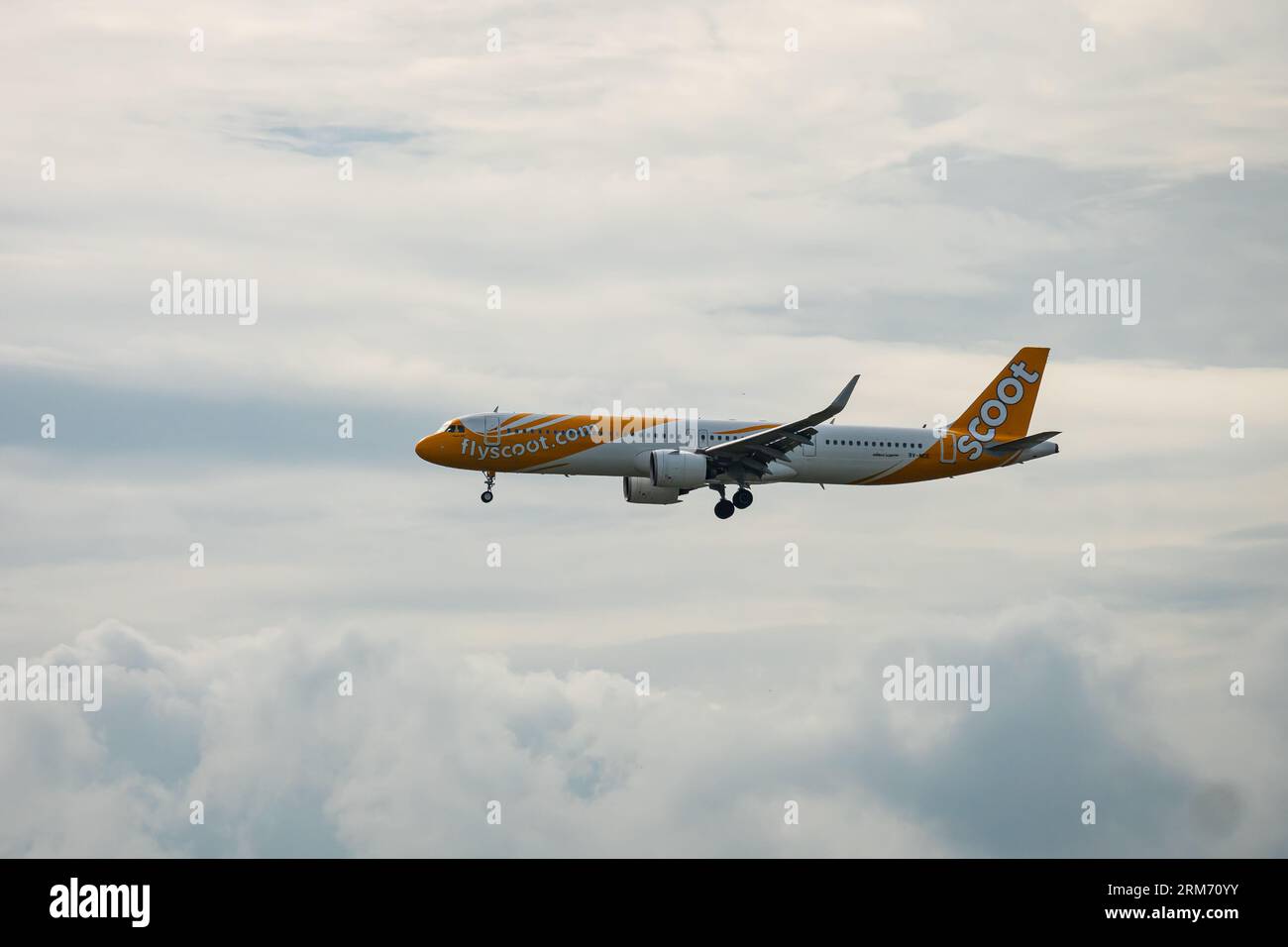 Bangkok, Thailand - August 26, 2023 : Flyscoot airways prepare for Landing at Suvarnabhumi Airport, Thailand. Transportation travel via commercial air Stock Photo