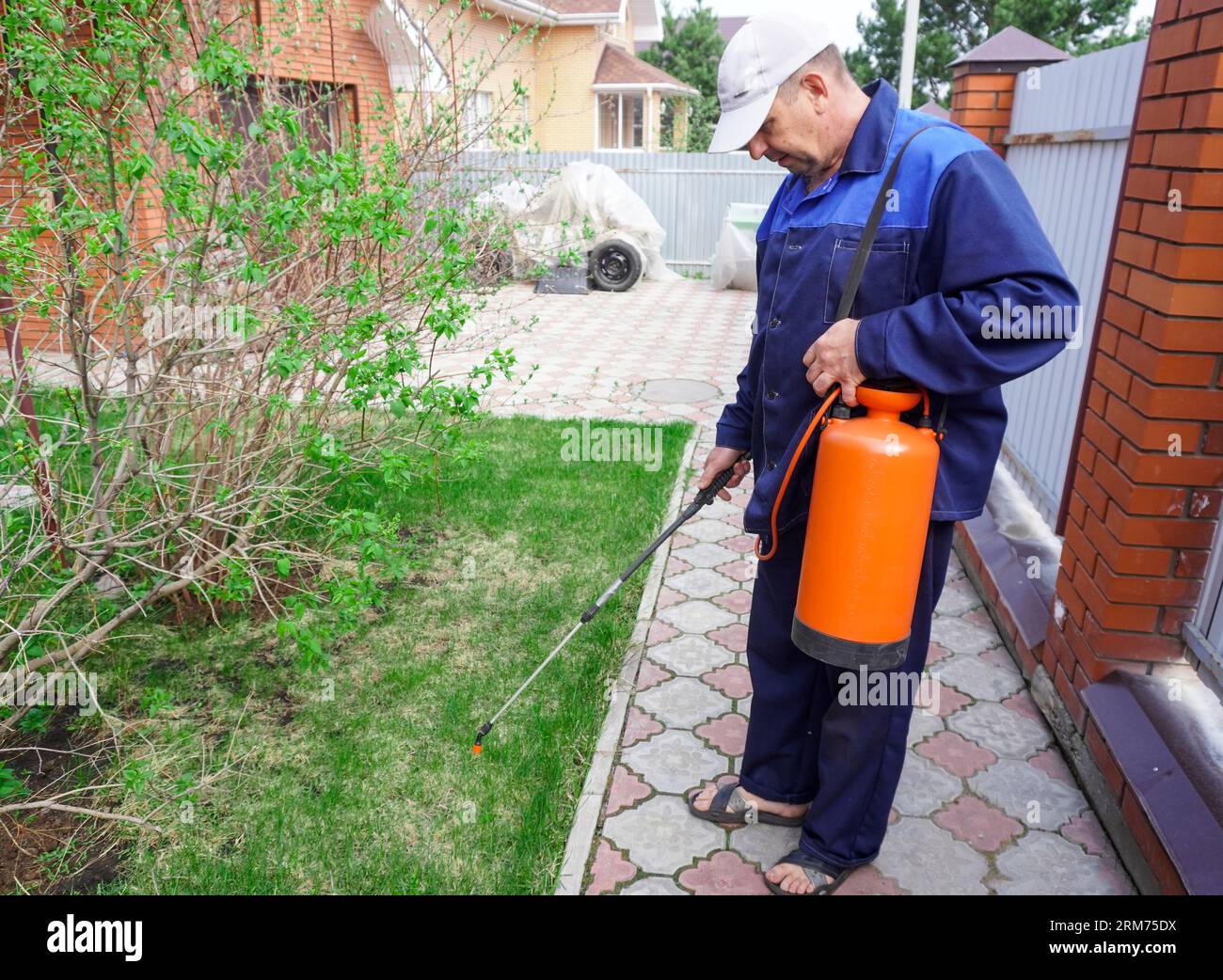 A man works in the garden, spraying weeds from a sprayer Stock Photo ...