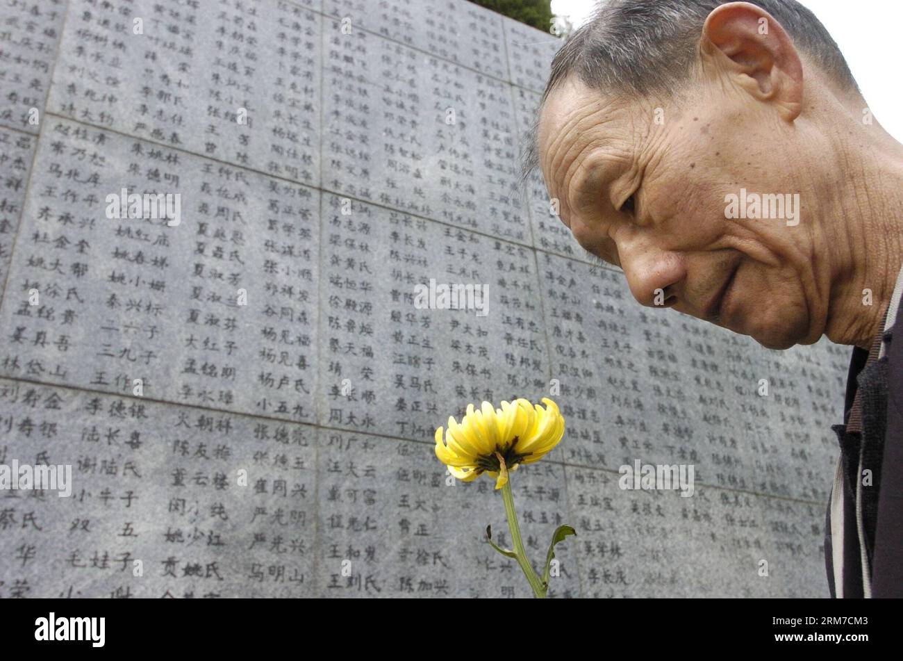 (140225) -- BEIJING, Feb. 25, 2014 (Xinhua) -- She Ziqing, a 74-year-old survival of the Nanjing Massacre, presents a flower to his mother who was killed in the Nanjing Massacre in front of a monument at the Memorial Hall of the Victims in Nanjing, capital of east China s Jiangsu Province, April 5, 2006. Chinese lawmakers are mulling making December 13 a national memorial day to commemorate those killed by Japanese aggressors during the Nanjing Massacre. The draft decision will be discussed at the bi-monthly session of the Standing Committee of the National People s Congress (NPC) which runs f Stock Photo