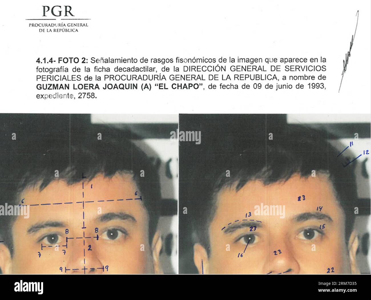 (140226) -- MEXICO CITY, Feb. 26, 2014 (Xinhua) --This combo of photographs released by Mexico s Attorney General Office (PGR) with identification mapping marks made by the source to point out similarities in face measurements, shows Joaquin El Chapo Guzman, using images made from his 1993 detentions. The Sinaloa Cartel leader was subjected to a buccal swab, a phisiognomic identity study and a test of 10 fingerprints. Federal courts in Mexico Tuesday formally charged Joaquin El Chapo Guzman, the captured leader of the Sinaloa drug cartel, with organized crime and drug trafficking. (Xinhua/Mexi Stock Photo