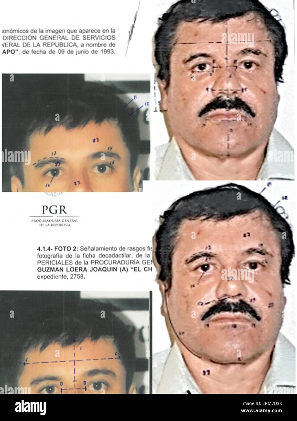 (140226) -- MEXICO CITY, Feb. 26, 2014 (Xinhua) -- This combo of photographs released by Mexico s Attorney General Office (PGR) with identification mapping marks made by the source to point out similarities in face measurements, shows Joaquin El Chapo Guzman, using images made from his 1993 and 2014 detentions. The Sinaloa Cartel leader was subjected to a buccal swab, a phisiognomic identity study and a test of 10 fingerprints. Federal courts in Mexico Tuesday formally charged Joaquin El Chapo Guzman, the captured leader of the Sinaloa drug cartel, with organized crime and drug trafficking. (X Stock Photo