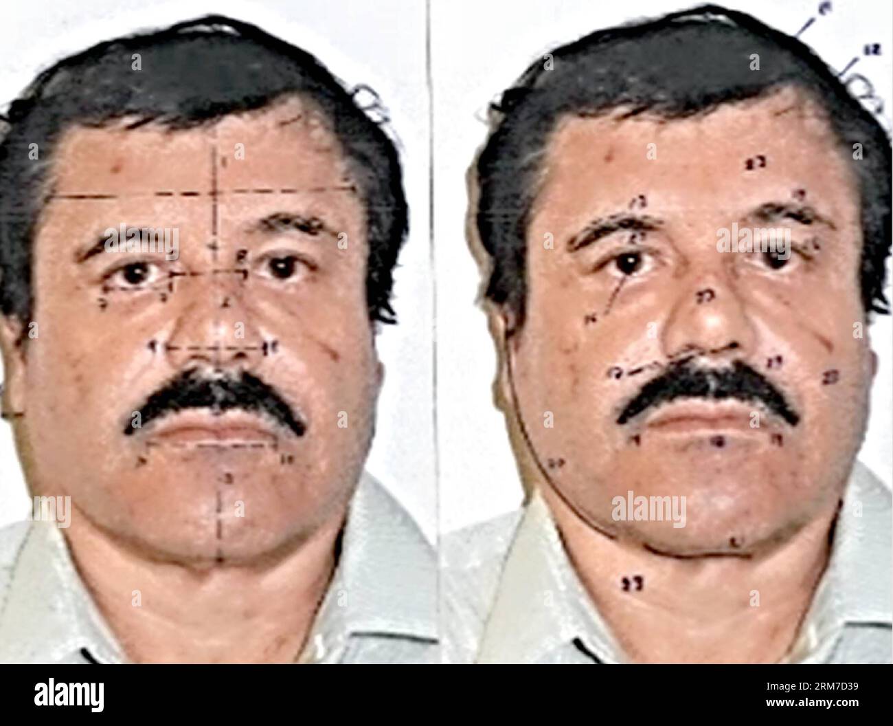 Image provided by Mexico s Attorney General Office (PGR), on Feb. 25, 2014, show Joaquin El Chapo Guzman, during the scientific tests to prove his identity, in Mexico City, capital of Mexico. The Sinaloa Cartel leader was subjected to a buccal swab, a phisiognomic identity study and a test of 10 fingerprints. Federal courts in Mexico Tuesday formally charged Joaquin El Chapo Guzman, the captured leader of the Sinaloa drug cartel, with organized crime and drug trafficking. (Xinhua/Mexico s Attorney General Office) MEXICO-MEXICO CITY-DRUGS-GUZMAN PUBLICATIONxNOTxINxCHN   Image provided by Mexico Stock Photo