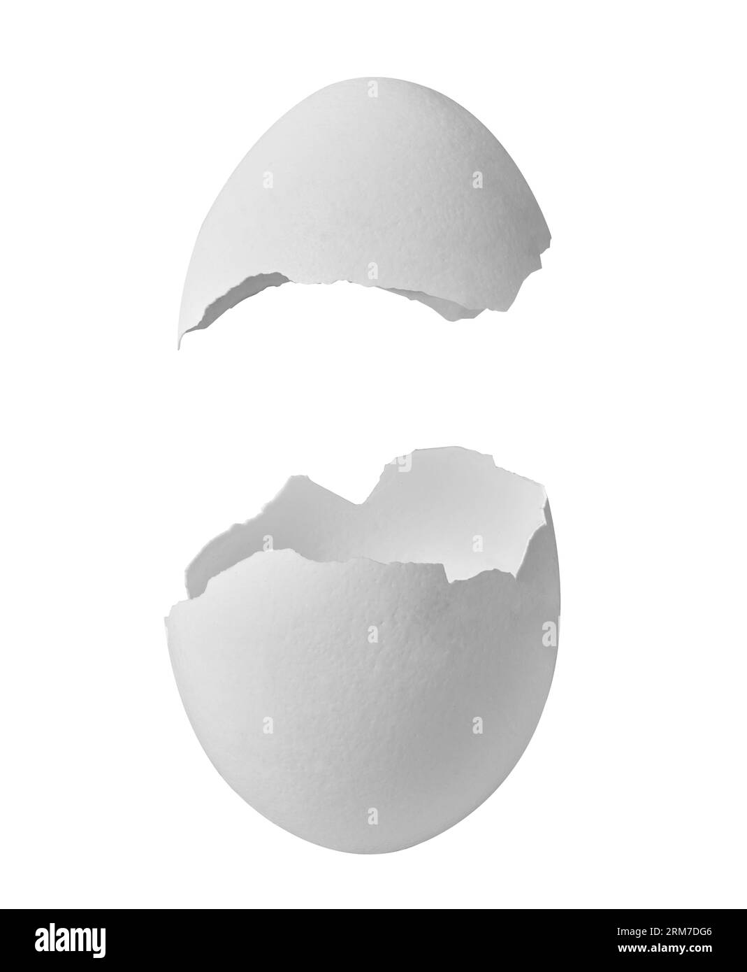 egg shell food white breakfast ingredient fragile protein half chicken