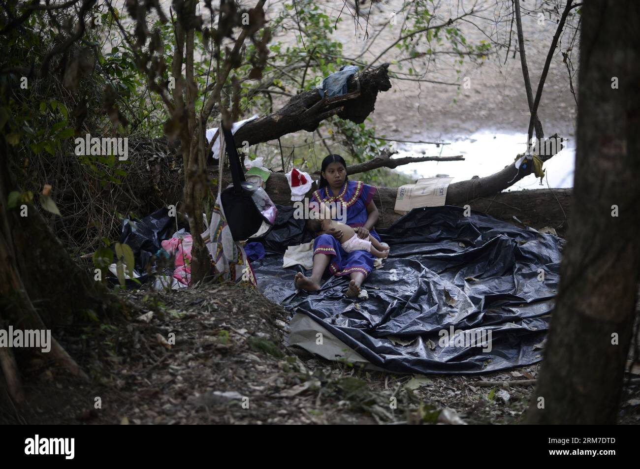 A woman of the Ngabe Bugle ethnic group feeds her baby in a camp near the Tabasara river bank in the Ngabe Bugle indigenous region, 450 km west of Panama City, capital of Panama, on Feb. 24, 2014. The Ngabe Bugle indigenous region is located in the western region of Panama, and covers an area of 6,968 square km, with 91 per cent of its population living in extreme poverty. Native leaders of the Ngabe Bugle region declared a national alert , because of the eviction notice issued by a company which is developing the hydro-electric project Barro Blanco . The project will use the water from Tabasa Stock Photo