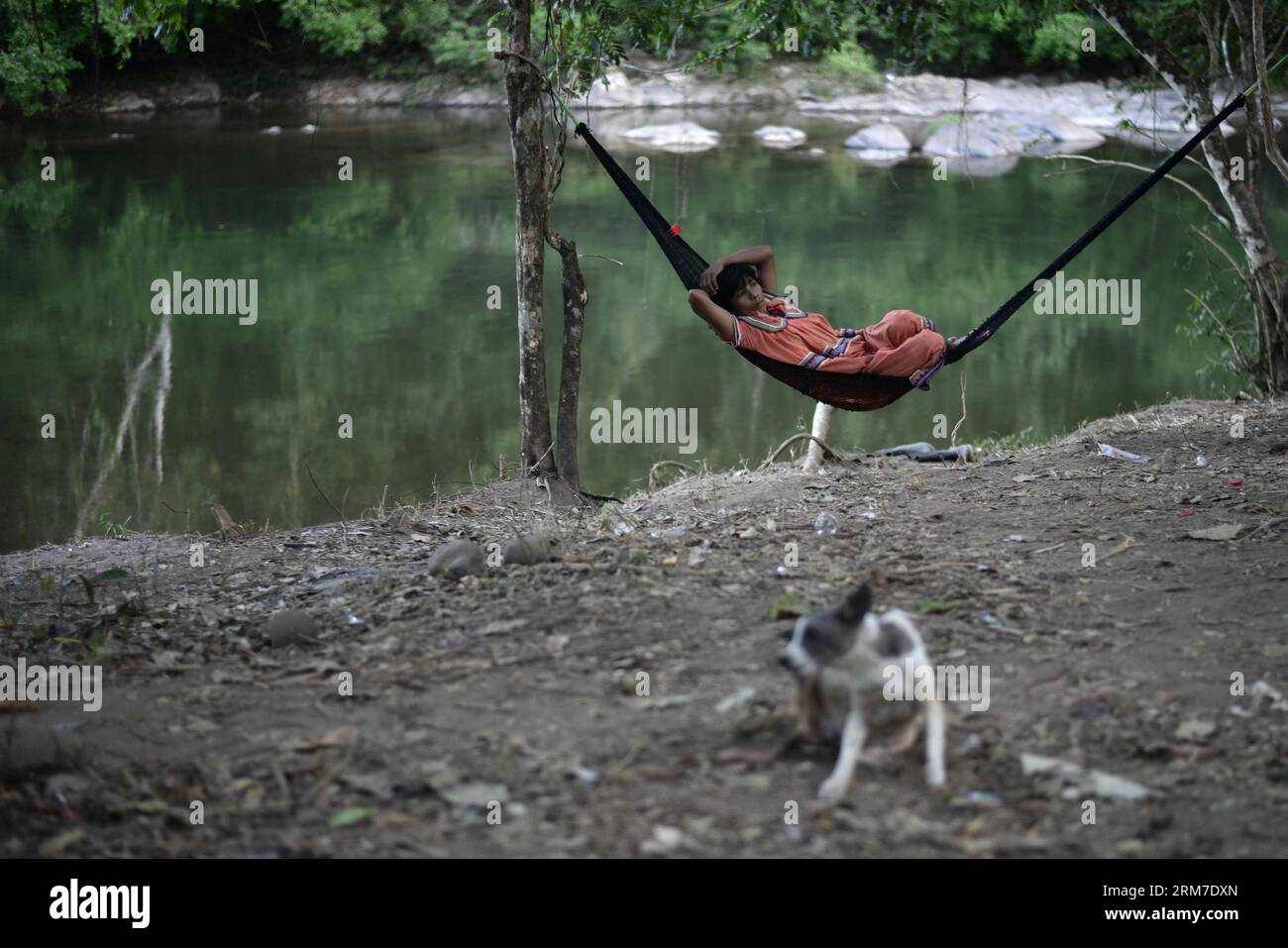A woman of the Ngabe Bugle ethnic group rests in a camp near the Tabasara river bank in the Ngabe Bugle indigenous region, 450 km west of Panama City, capital of Panama, on Feb. 24, 2014. The Ngabe Bugle indigenous region is located in the western region of Panama, and covers an area of 6,968 square km, with 91 per cent of its population living in extreme poverty. Native leaders of the Ngabe Bugle region declared a national alert , because of the eviction notice issued by a company which is developing the hydro-electric project Barro Blanco . The project will use the water from Tabasara river Stock Photo