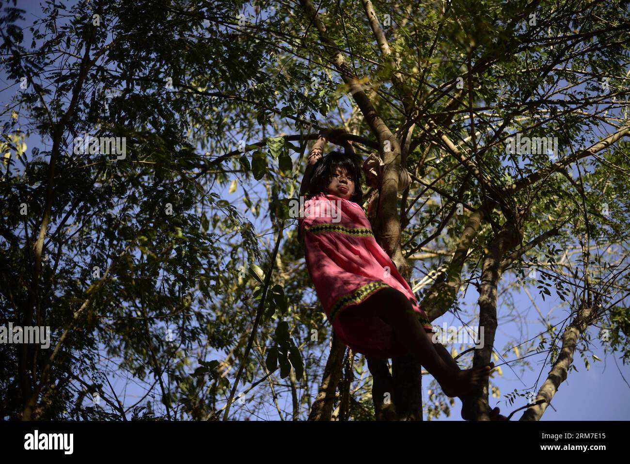 A girl of the Ngabe Bugle ethnic group plays on a tree in Kiad community in the Ngabe Bugle indigenous region, 450 km west of Panama City, capital of Panama, on Feb. 24, 2014. The Ngabe Bugle indigenous region is located in the western region of Panama, and covers an area of 6,968 square km, with 91 per cent of its population living in extreme poverty. Native leaders of the Ngabe Bugle region declared a national alert , because of the eviction notice issued by a company which is developing the hydro-electric project Barro Blanco . The project will use the water from Tabasara river in Chiriqui Stock Photo