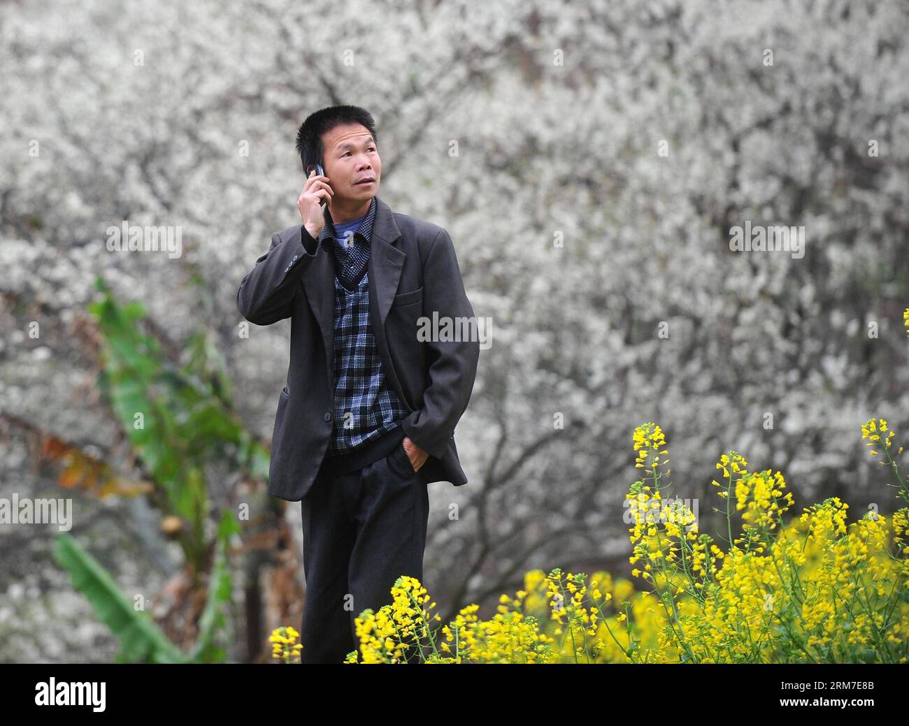 Insuch hi-res stock photography and images - Alamy