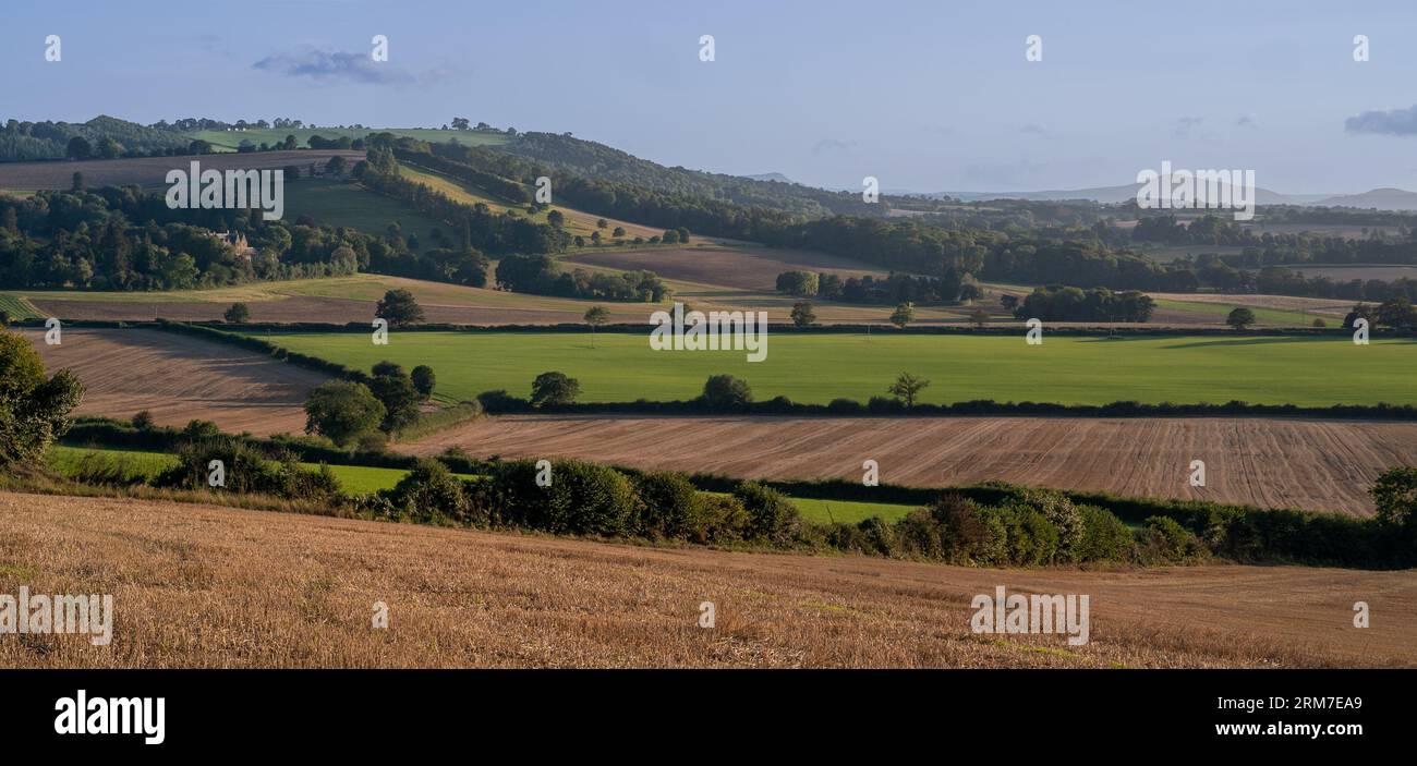 Panoramic view over rolling english countryside at sunset in summer under blue sky Stock Photo