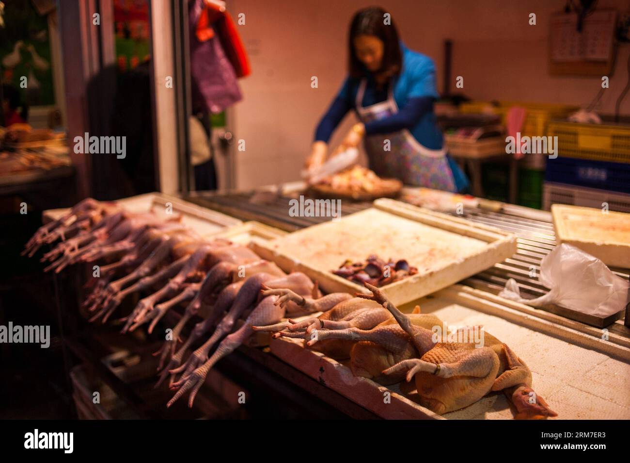 (140301) -- SHENZHEN, March 1, 2014 (Xinhua) -- Photo taken on March 1, 2014 shows slaughtered chickens at a market in Shenzhen, south China s Guangdong Province. No new H7N9 bird flu cases have been reported since the reopening of live poultry trade on Feb. 16 in Shenzhen. (Xinhua/Mao Siqian) (cjq) CHINA-GUANGDONG-SHENZHEN-H7N9 BIRD FLU-NO NEW CASES (CN) PUBLICATIONxNOTxINxCHN   Shenzhen March 1 2014 XINHUA Photo Taken ON March 1 2014 Shows Slaughtered Chickens AT a Market in Shenzhen South China S Guangdong Province No New  Bird Flu Cases have been reported Since The Reopening of Live Poultr Stock Photo