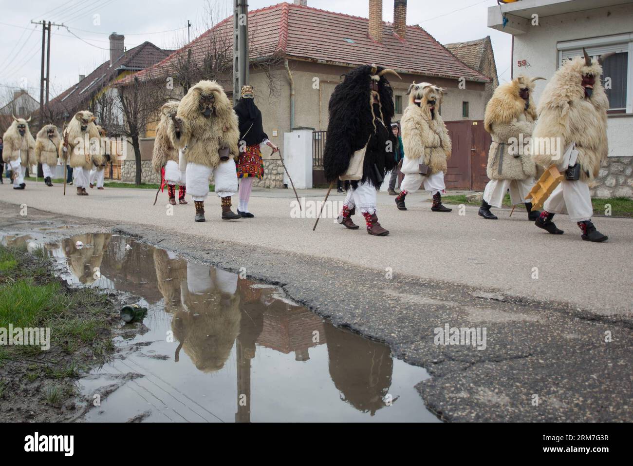 Masked busos (people wearing sheep fur and wooden masks) celebrate the traditional Buso Carnival in Mohacs, southern Hungary on March 2, 2014. The Buso Carnival is an annual celebration of Sokac ethnic group living in Mohacs to bid farewell to winter and welcome spring. According to legend, local people dressed up in sheep fur and wooden masks in a bid to frighten off the Turkish invaders in the 16th century. This year s carnival takes place from February 27 till March 4. (Xinhua/Attila Volgyi) HUNGARY-MOHACS-BUSO CARNIVAL PUBLICATIONxNOTxINxCHN   Masked  Celebrities Wearing Sheep for and Wood Stock Photo