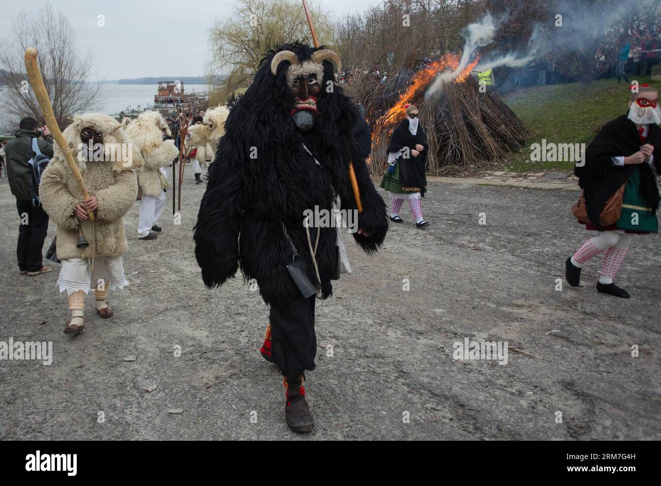 Masked busos (people wearing sheep fur and wooden masks) celebrate the traditional Buso Carnival in Mohacs, southern Hungary on March 2, 2014. The Buso Carnival is an annual celebration of Sokac ethnic group living in Mohacs to bid farewell to winter and welcome spring. According to legend, local people dressed up in sheep fur and wooden masks in a bid to frighten off the Turkish invaders in the 16th century. This year s carnival takes place from February 27 till March 4. (Xinhua/Attila Volgyi) HUNGARY-MOHACS-BUSO CARNIVAL PUBLICATIONxNOTxINxCHN   Masked  Celebrities Wearing Sheep for and Wood Stock Photo