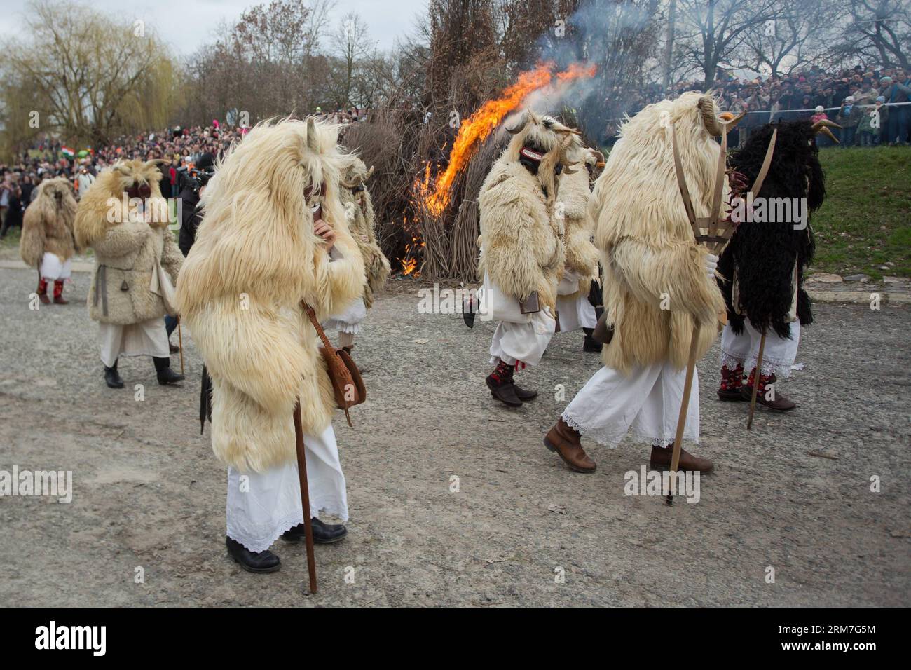 Masked busos (people wearing sheep fur and wooden masks) celebrate the traditional Buso Carnival in Mohacs, southern Hungary on March 2, 2014. The Buso Carnival is an annual celebration of Sokac ethnic group living in Mohacs to bid farewell to winter and welcome spring. According to legend, local people dressed up in sheep fur and wooden masks in a bid to frighten off the Turkish invaders in the 16th century. This year s carnival takes place from February 27 till March 4. (Xinhua/Attila Volgyi) HUNGARY-MOHACS-BUSO CARNIVAL PUBLICATIONxNOTxINxCHN   Masked  Celebrities Wearing Sheep for and Wood Stock Photo
