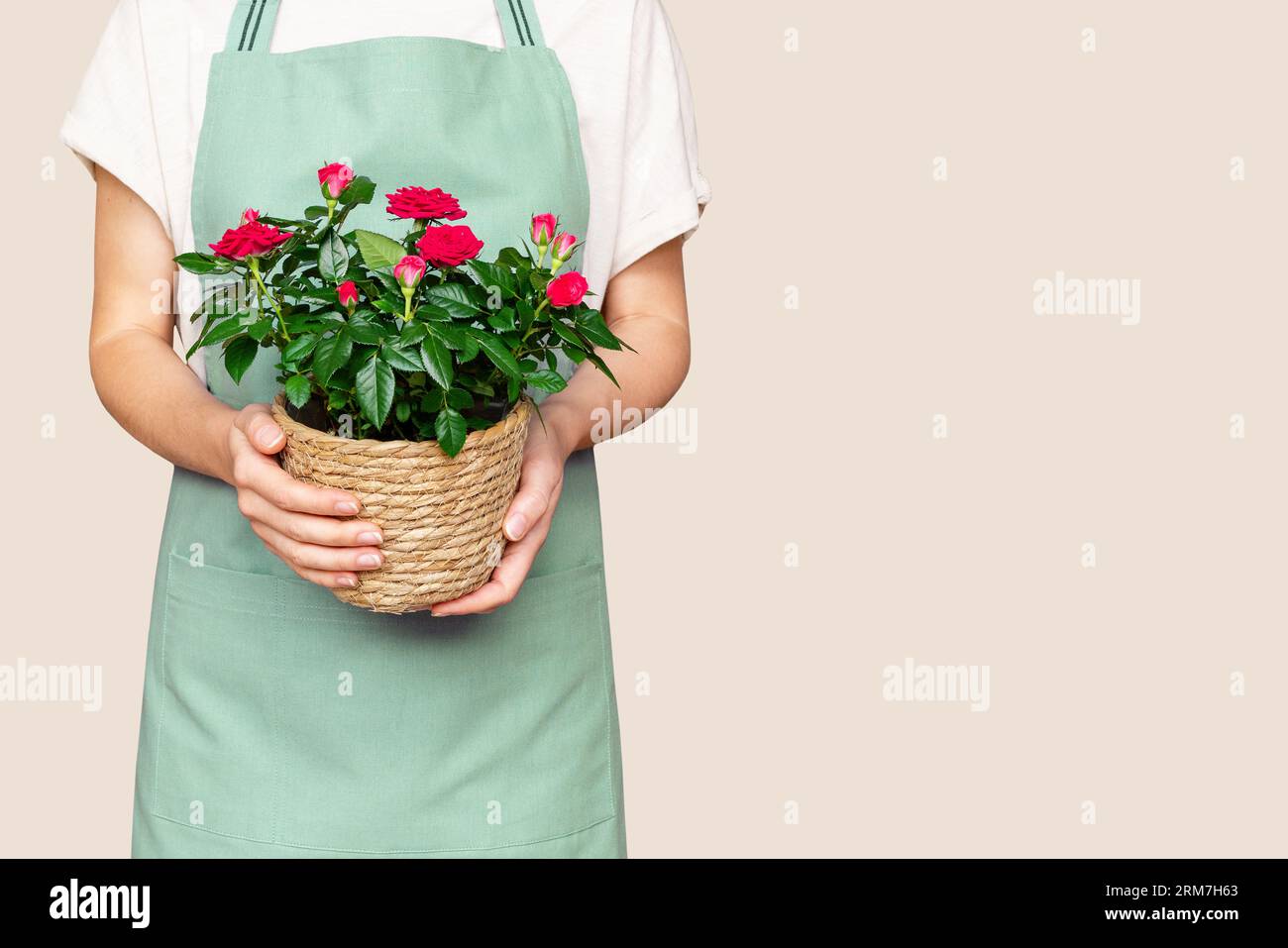 Florist woman wearing apron hi-res stock photography and images - Alamy