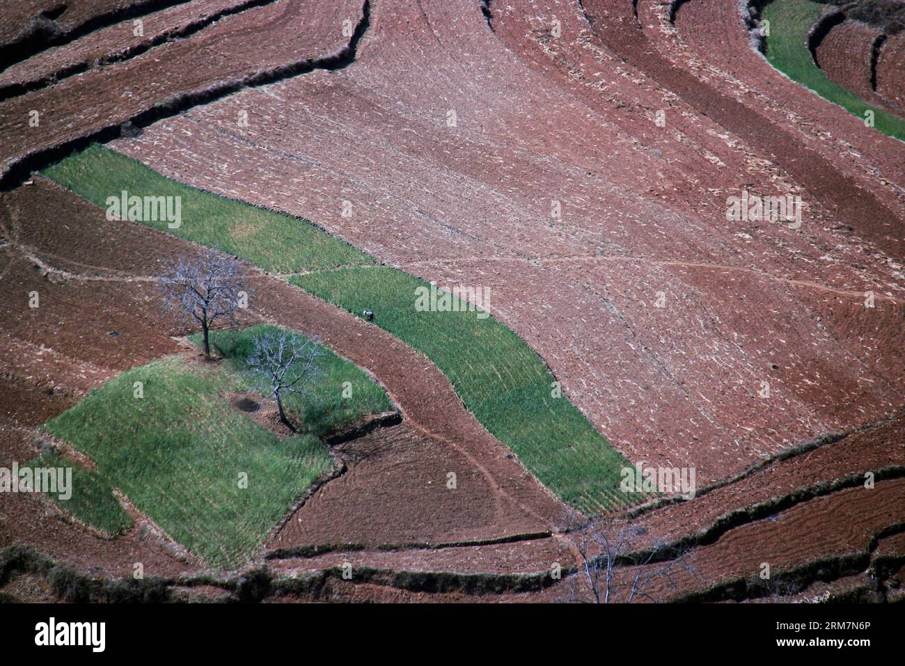 (140310) -- WEINING, March 10, 2014 (Xinhua) -- Photo taken on March 9, 2014 shows the field scenery in Haila Township of Weining Yi Autonomous County, southwest China s Guizhou Province. (Xinhua/He Huan) (lfj) CHINA-GUIZHOU-WEINING-SCENERY (CN) PUBLICATIONxNOTxINxCHN   Weining March 10 2014 XINHUA Photo Taken ON March 9 2014 Shows The Field scenery in  Township of Weining Yi Autonomous County Southwest China S Guizhou Province XINHUA he Huan  China Guizhou Weining scenery CN PUBLICATIONxNOTxINxCHN Stock Photo