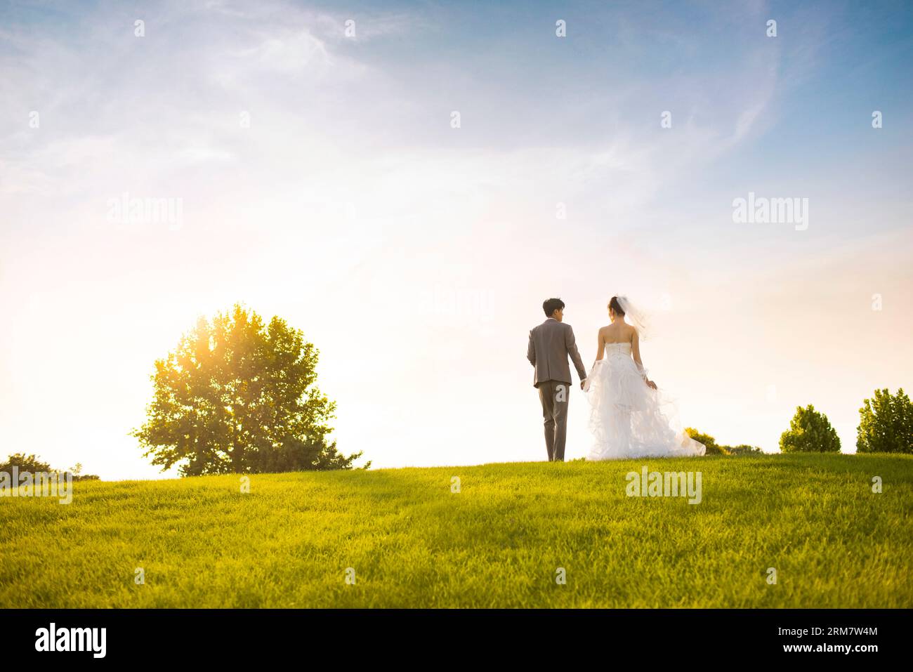 Wedding bride and groom rear view hi-res stock photography and images ...