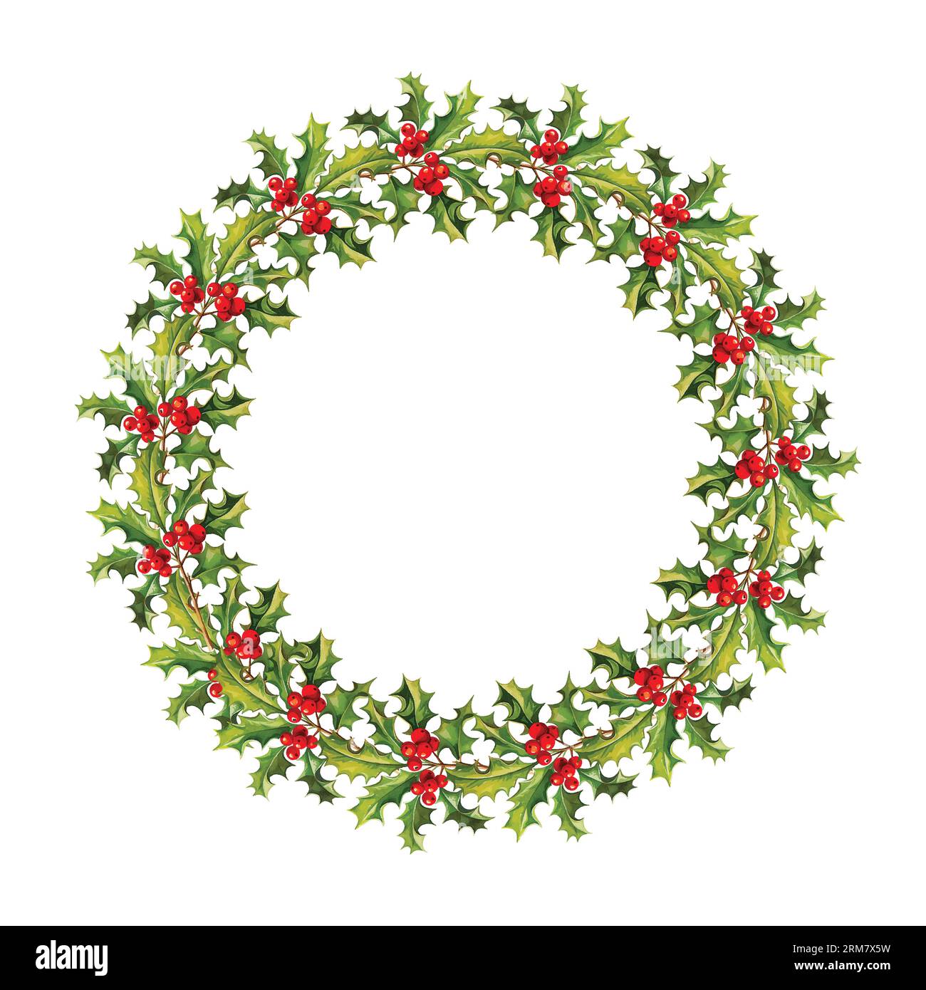 Watercolor vector Christmas wreath with green branches and red berries ...