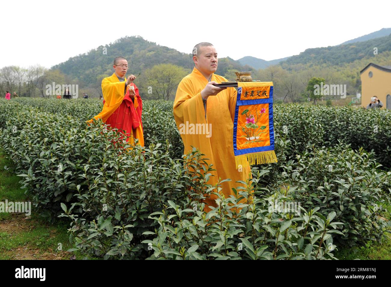 (140324) -- HANGZHOU, March 24, 2014 (Xinhua) -- Monks hold a cleaning ceremony before picking tea at a tea garden in Fajing Buddha Temple in Hangzhou, capital of east China s Zhejiang Province, March 24, 2014. More than 40 monks in the Fajing Temple began to pick Fajing zen tea belonged to the temple Monday. The Fajing zen tea, produced within the origin area of West Lake Dragon Well(Longjing) Tea, is planted, picked and drinked by monks themselves in the temple. Zen tea is a special tea culture for Buddhists to be enlightened with Buddha dharma through tea making and drinking. (Xinhua/Ju Hua Stock Photo