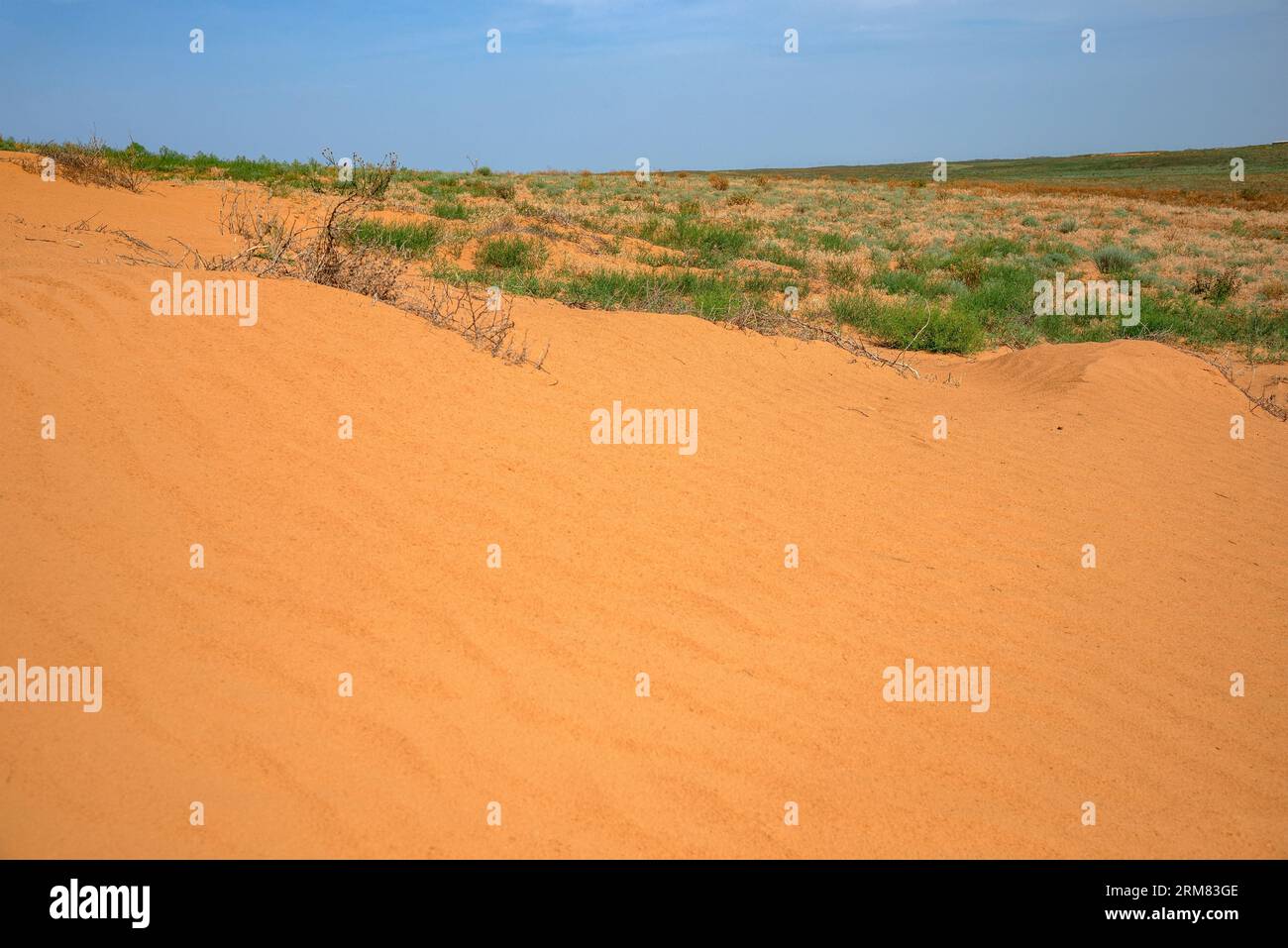 Semi-desert. Republic of Kalmykia, Russia Stock Photo