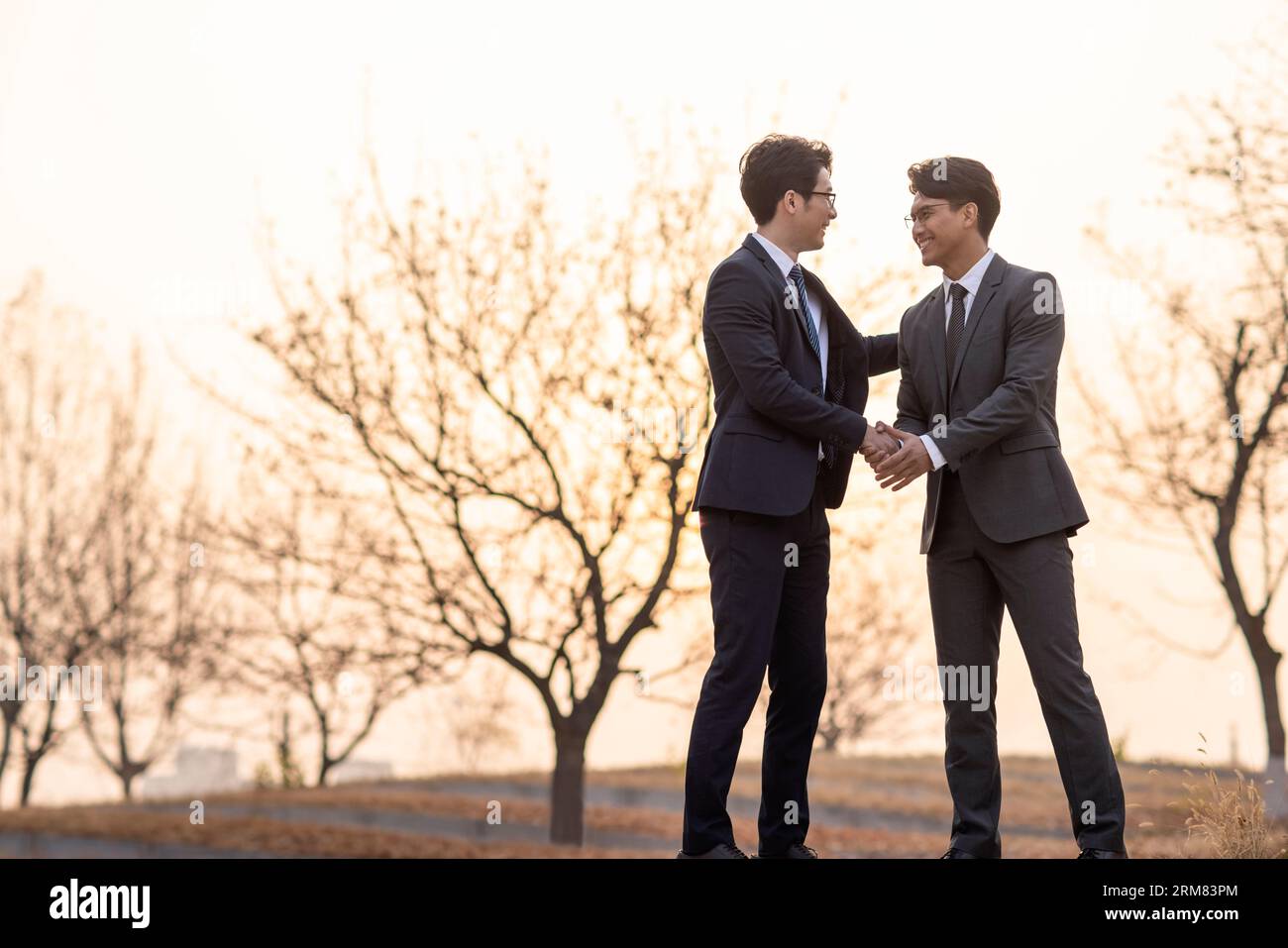 Confident businessmen shaking hands outdoors Stock Photo