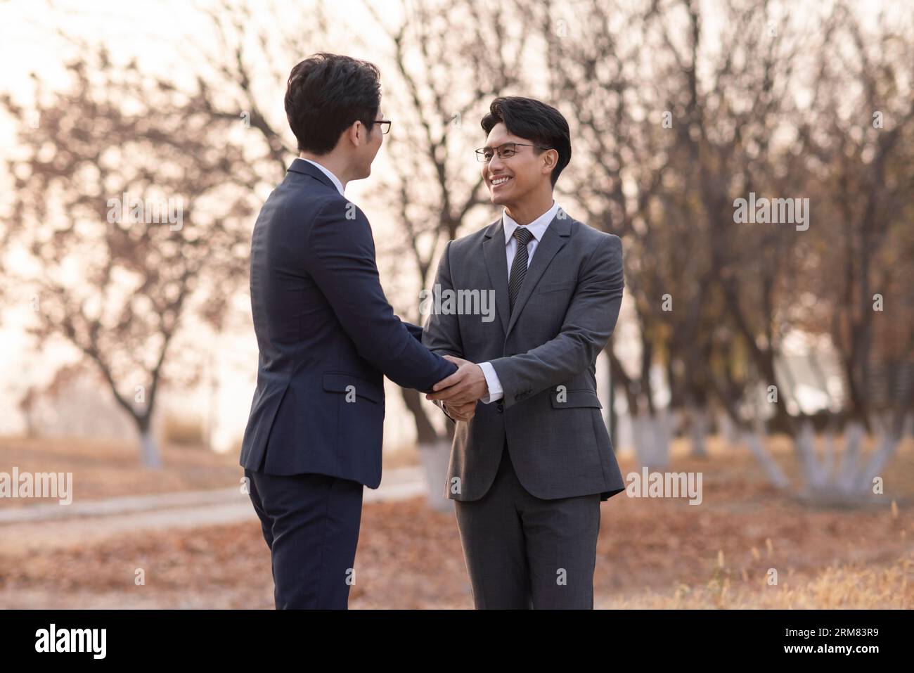 Confident businessmen shaking hands outdoors Stock Photo