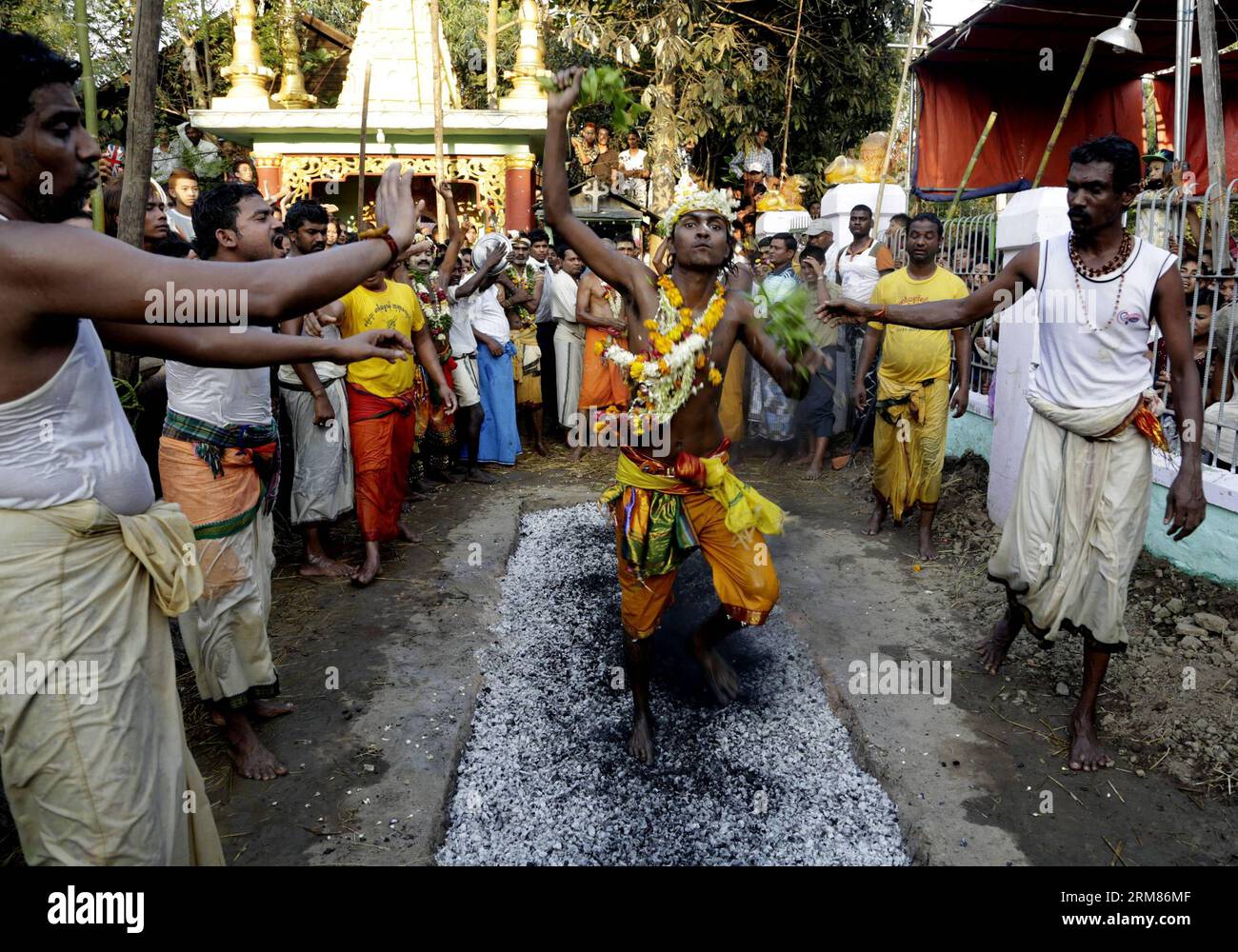 YANGON, March 30, 2014 - A Hindu devotee walks on burning embers during ...