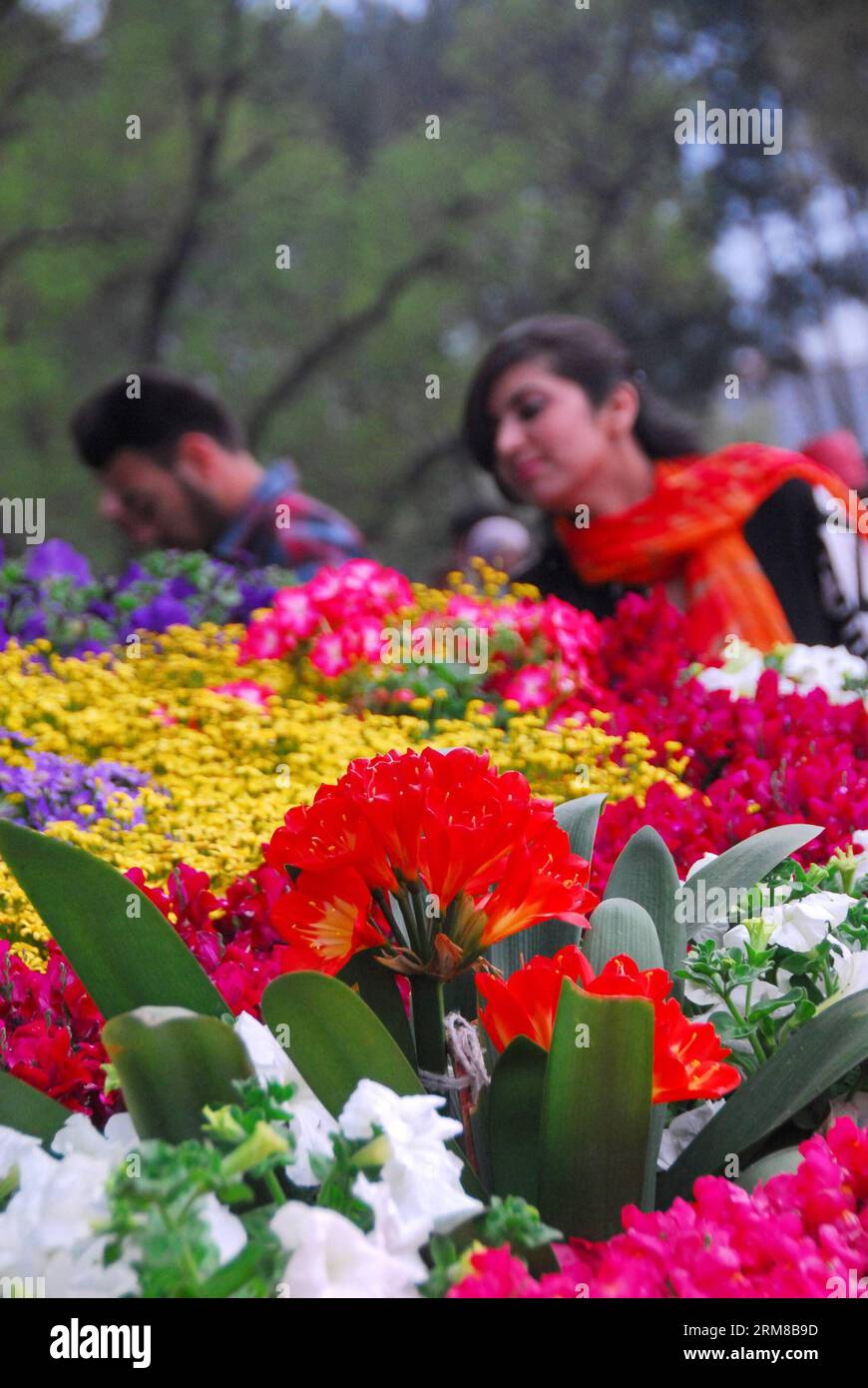 Eherpakistan islamabad flowers hires stock photography and images Alamy
