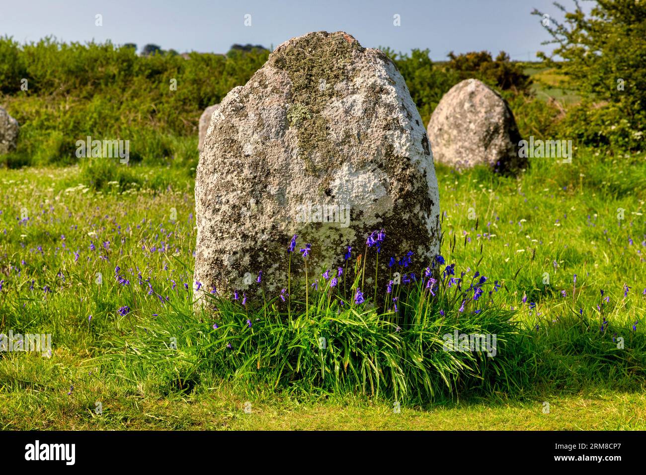 Close up of one of the standing stones in the Boscawen-un stone circle, near St Buryan, Cornwall, UK. Focus on foreground. Stock Photo
