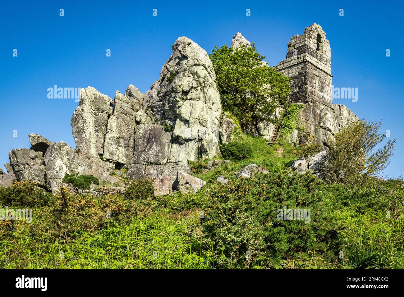 Ruins of the Chapel of St Michael, Roche Rock, Cornwall, on a clear day in May with stunning blue sky. The rock and chapel are believed to have... Stock Photo