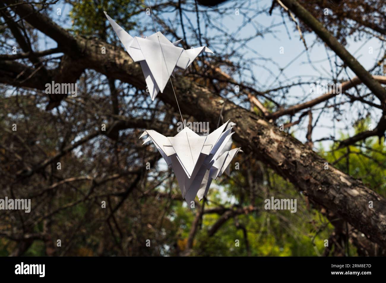 Origami paper birds dove on the string for decor. White color. Handmade Stock Photo