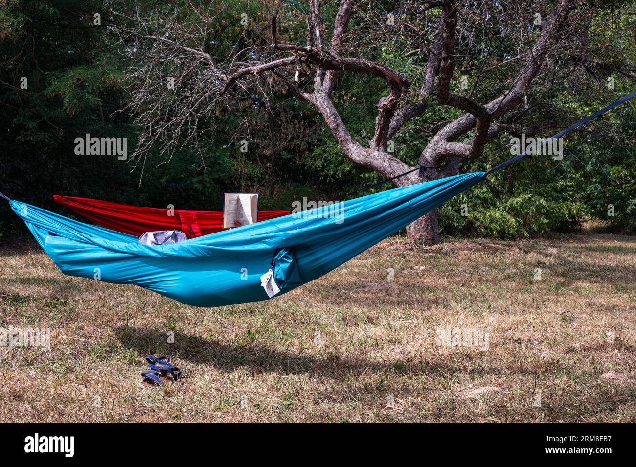 Blue hammock, red hammock and someone is reading book in it. Tourism ...