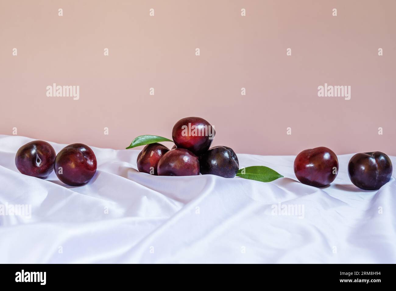 The plum is the fruit of the plum tree, the common name of several tree