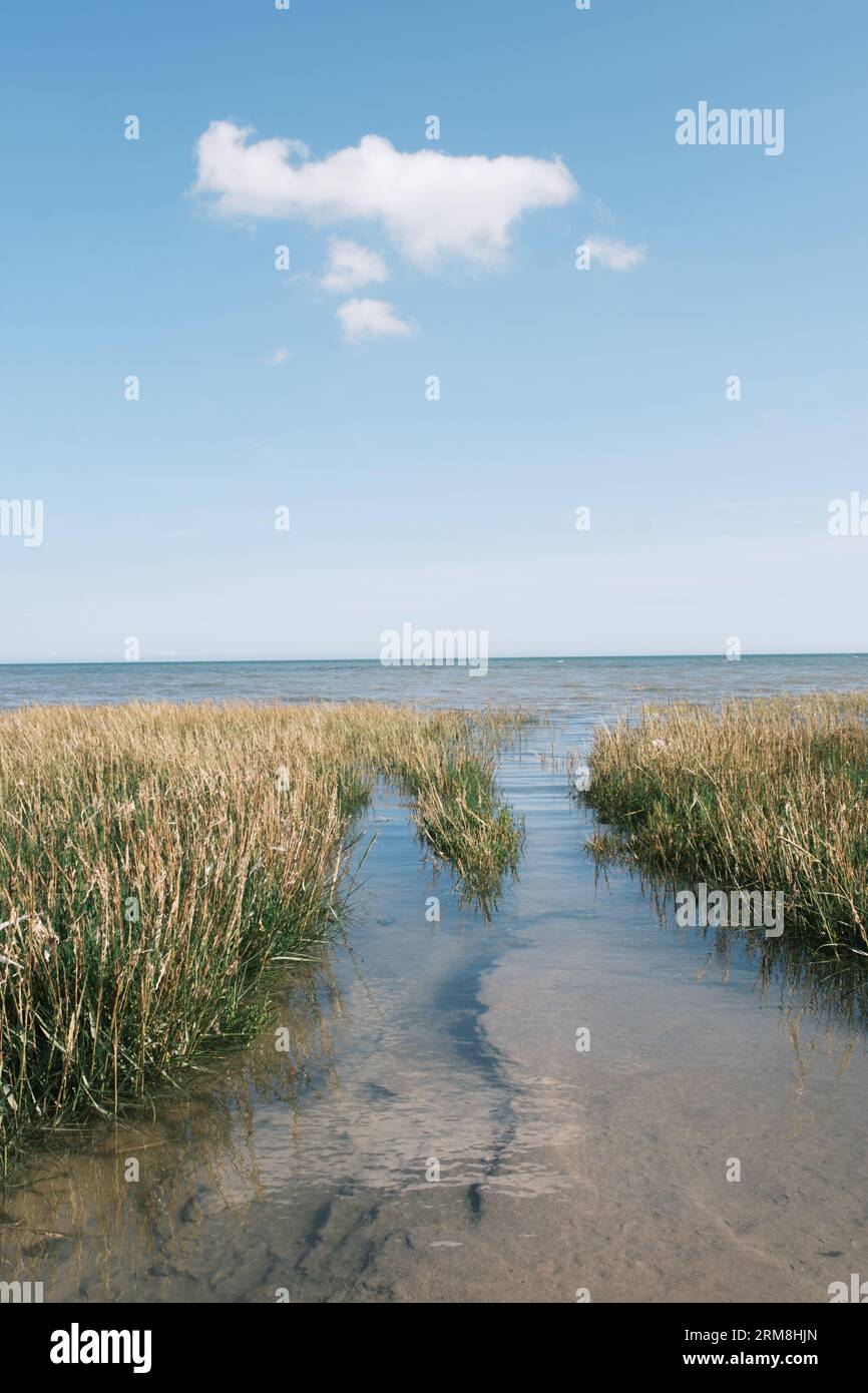 Pegwell Bay, Ramsgate, Kent, UK. Site of the old Hoverport. Stock Photo