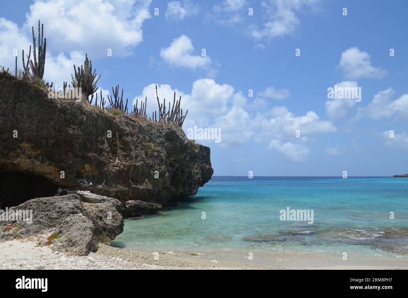 rock with plants at the white and sandy carribean beach with turquoise water Stock Photo