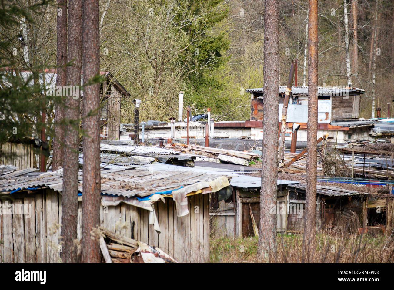 old wooden barns in the forest Stock Photo - Alamy