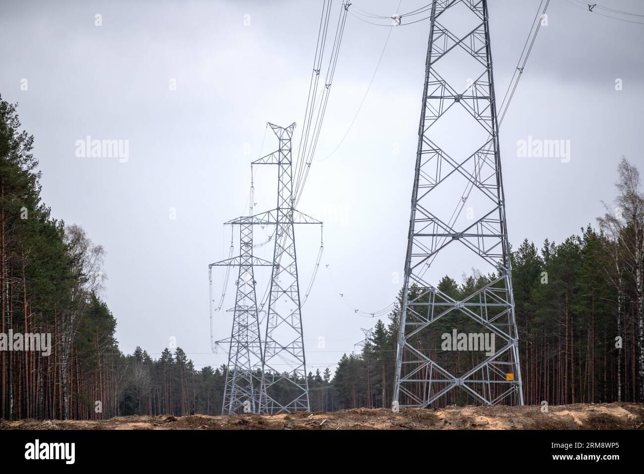 power lines on the forest line Stock Photo - Alamy