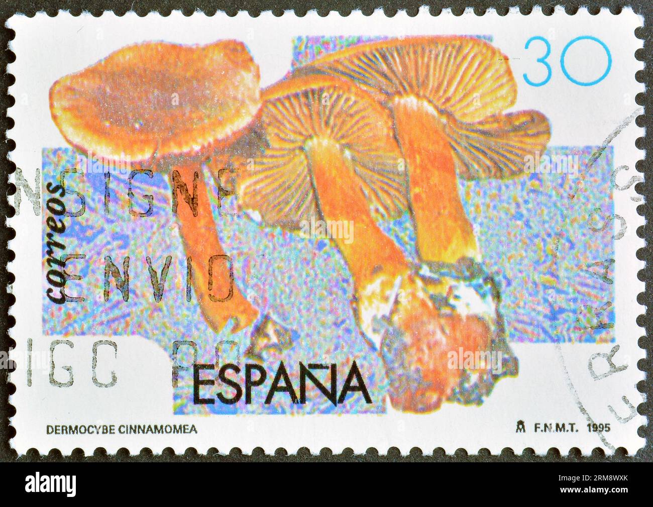 Cancelled postage stamp printed by Spain, that shows Cinnamon Webcap Mushroom (Dermocybe cinnamomea), circa 1995. Stock Photo