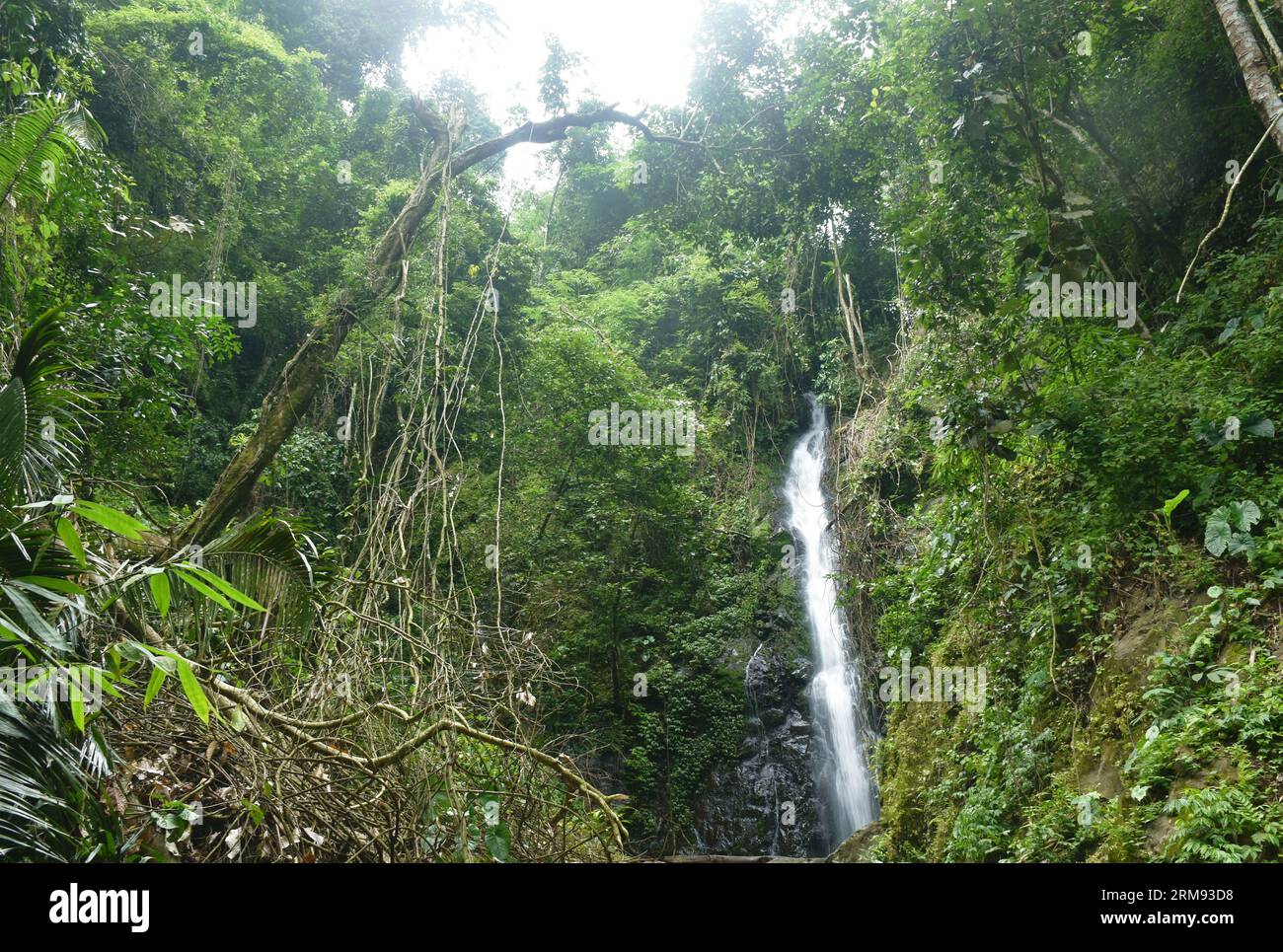 water falling on river pass rock and stone at Pha Gnam Gnon waterfall ...