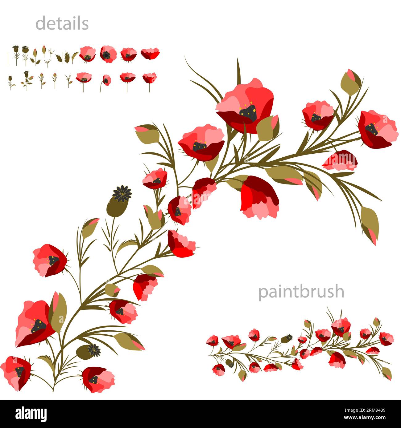Vector floral set of red poppies and leaves. Isolated illustration ...