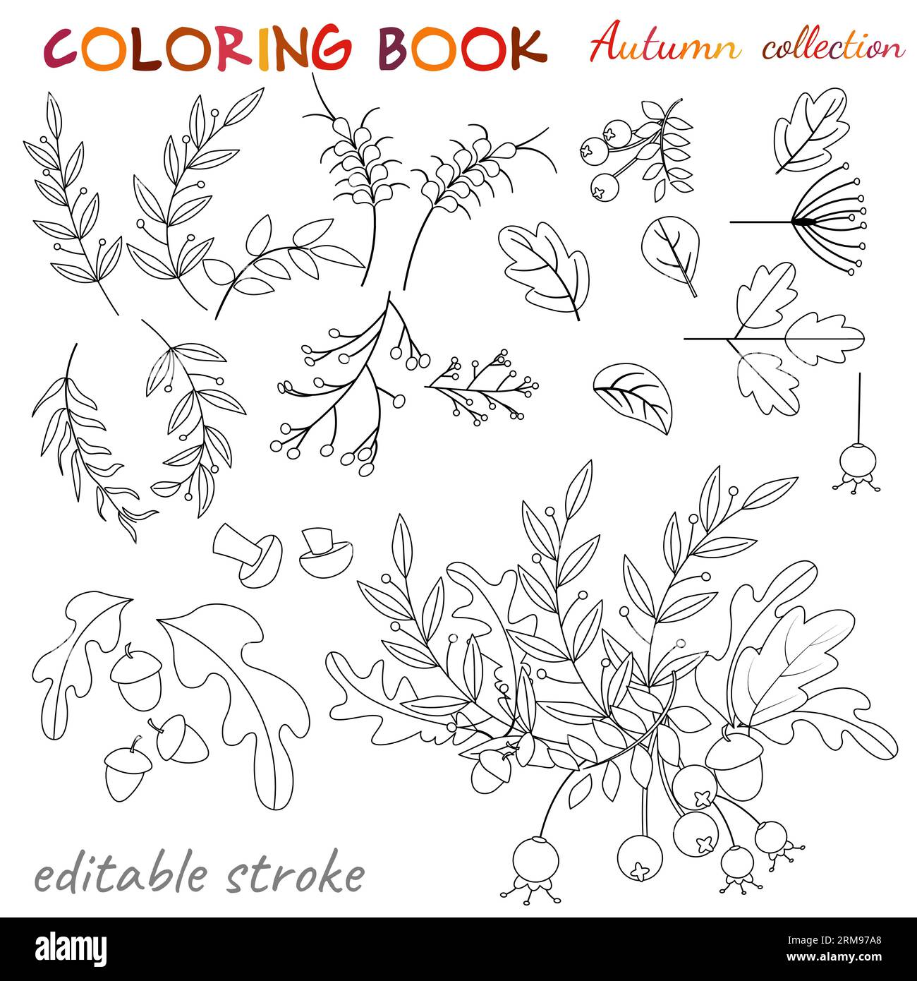 Autumn collection. Set of autumn leaves and acorns. Relaxation coloring ...