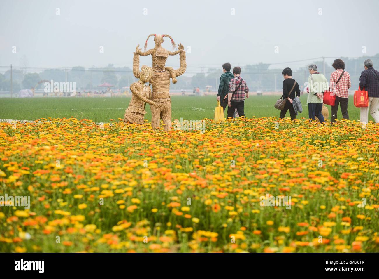 (140513) -- TONGLU, May 13, 2014 (Xinhua) -- Tourists visit the fields of flowers outside the swinery tea bar in Dipu Village of Jiangnan Town in Tonglu County, east China s Zhejiang Province, May 13, 2014. Dipu Village, a national historical and cultural village with nearly a thousand years history, has committed to environment reform, village protection and tourism development for the past few years. The swinery tea bar sets a successful example of the transform. The bar used to be five messy stone houses for pigs keeping. After renovation, it functions as a modern tea bar with traditional a Stock Photo